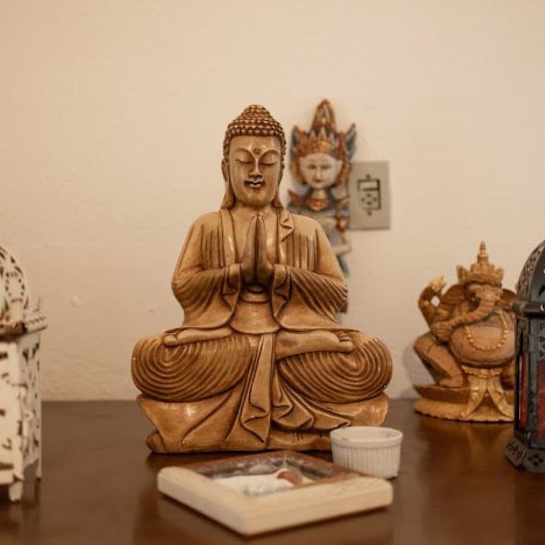 NeoZen, foto 2